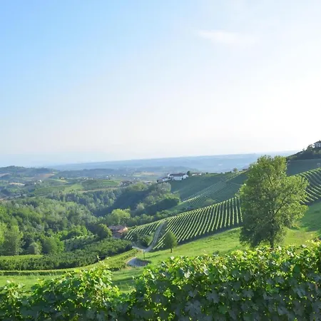 Nice In Monforte Dalba With Wifi